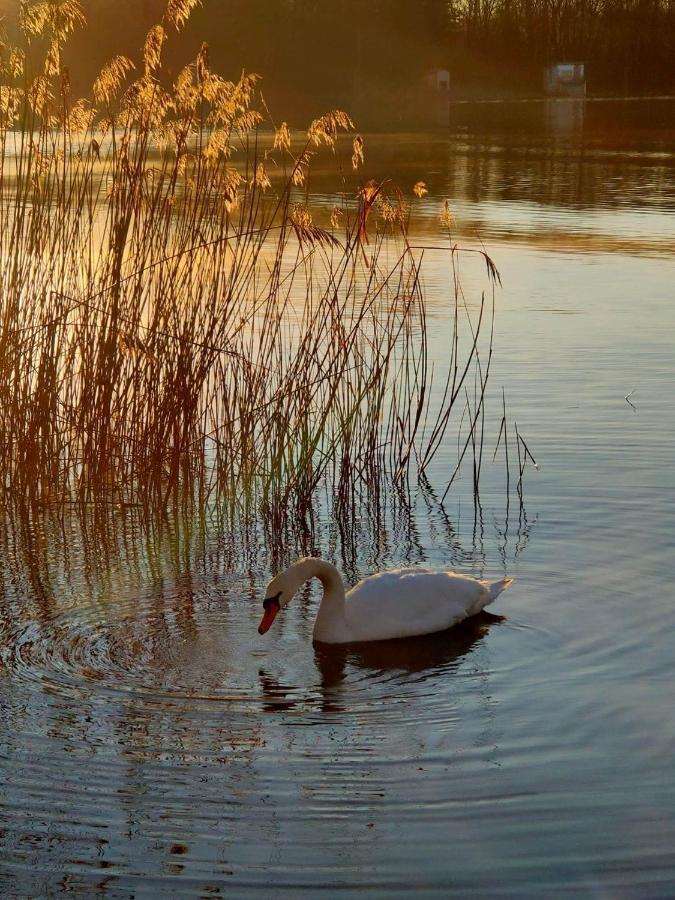 Appartamento Tramonto Al Lago Gavirate Esterno foto